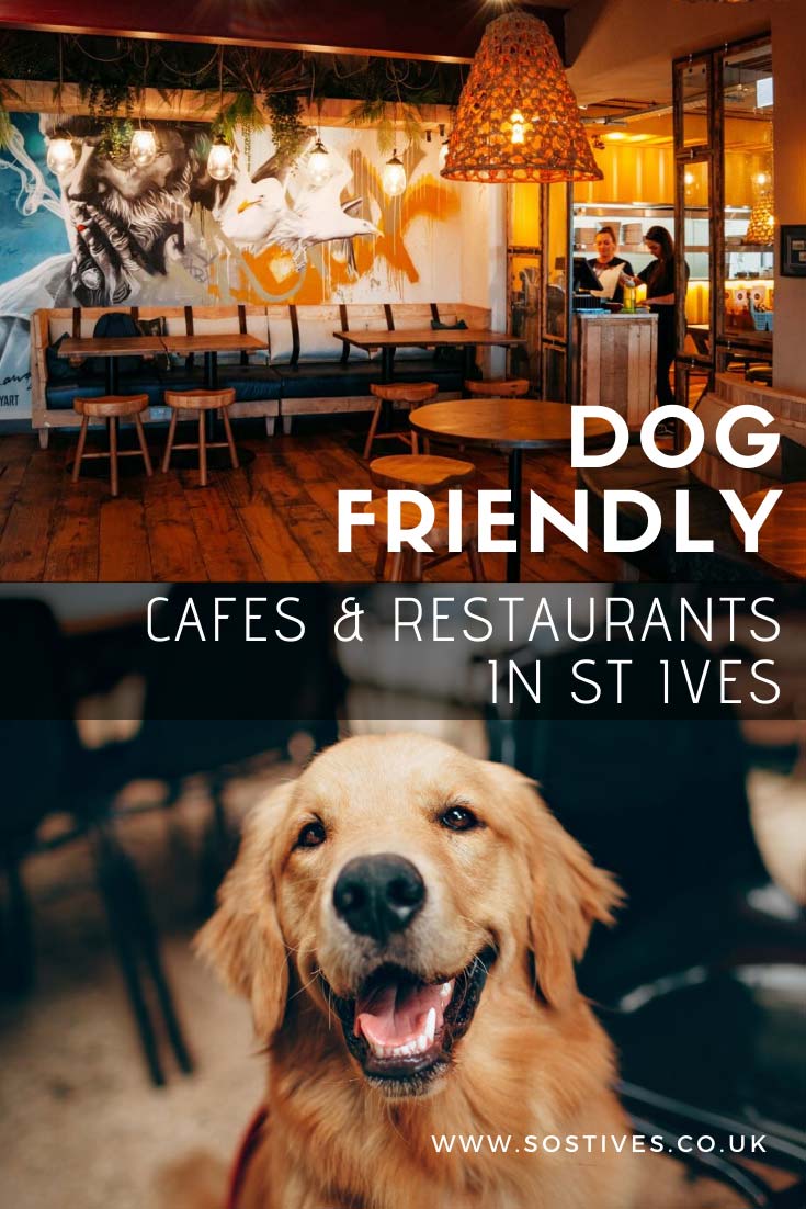 dog-friendly-cafes-restaurants-in-st-ives