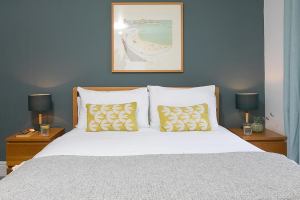 dog-friendly-holidays-in-st-ives