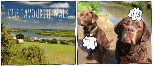 Cornwall-walks