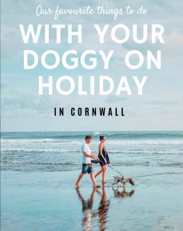 Our-favourite-things-to-do-in-cornwall-with-your-doggy