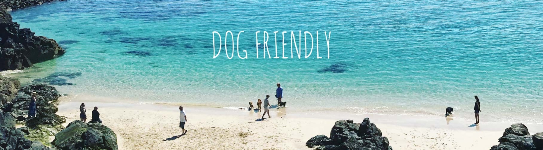 dog-friendly-places-to-stay
